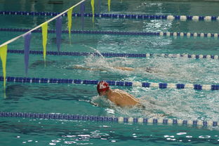 华体会真人体育娱乐-世界游泳锦标赛连续夺金，实力证明中国，世界游泳锦标赛举办地